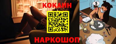 гашик Кингисепп