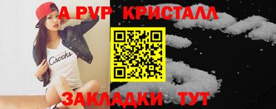 гашик Кингисепп