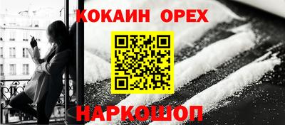 гашик Кингисепп