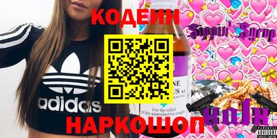 гашик Кингисепп