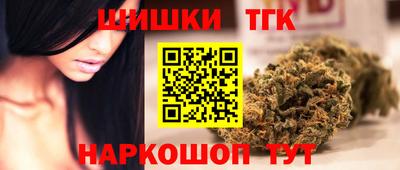 гашик Кингисепп