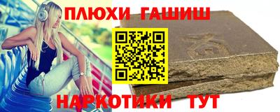 гашик Кингисепп