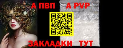 гашик Кингисепп