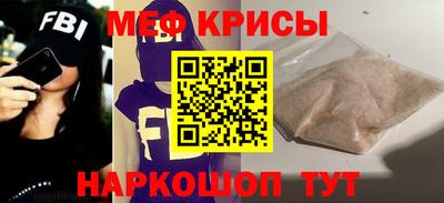 гашик Кингисепп