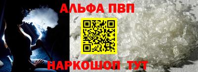 гашик Кингисепп