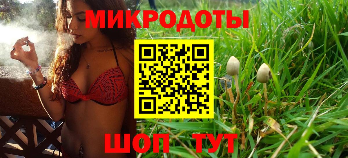 Галлюциногенные грибы мухоморы  Псилоцибиновые грибы ЛСД  Вход с VPN  Кандалакша 